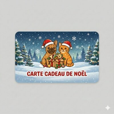 Carte Cadeau